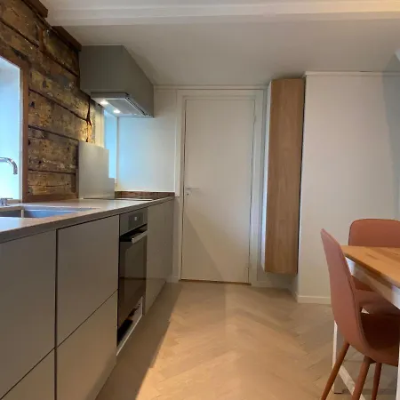 Entire Renovated From 1780 With Kitchen, Bath, Bedroom, And Living In Skuteviken 公寓 *