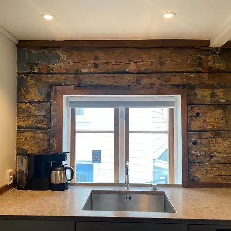 Entire Renovated From 1780 With Kitchen, Bath, Bedroom, And Living In Skuteviken 公寓 *